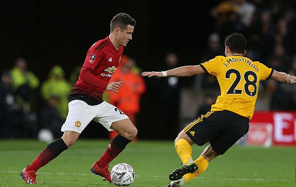 作为成熟球 作为成熟球