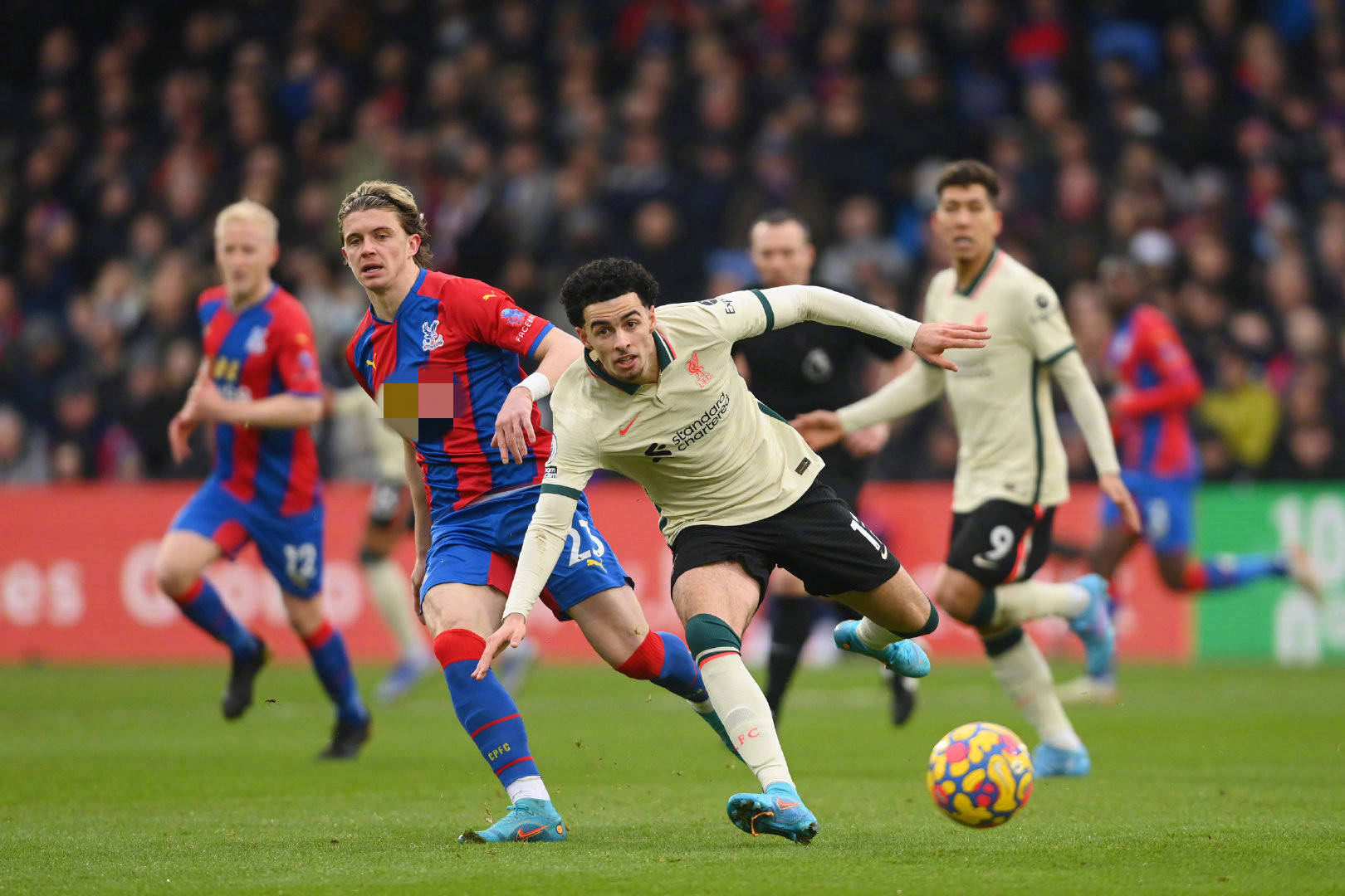 我们期待更 我们期待更